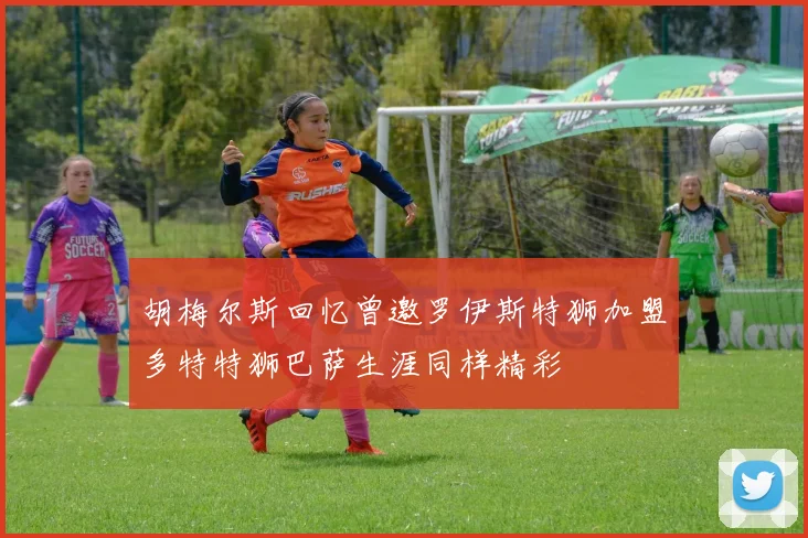 胡梅尔斯回忆曾邀罗伊斯特狮加盟多特特狮巴萨生涯同样精彩