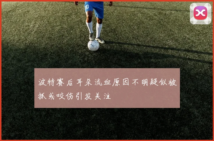 波特赛后耳朵流血原因不明疑似被抓或咬伤引发关注