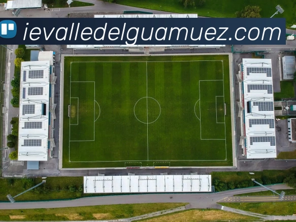 战术分析频道